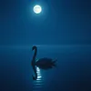 Moonlit Waltz
