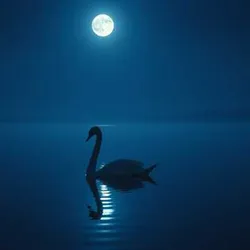 Moonlit Waltz